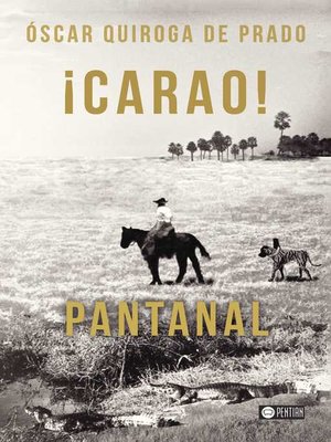 cover image of ¡Carao! Pantanal